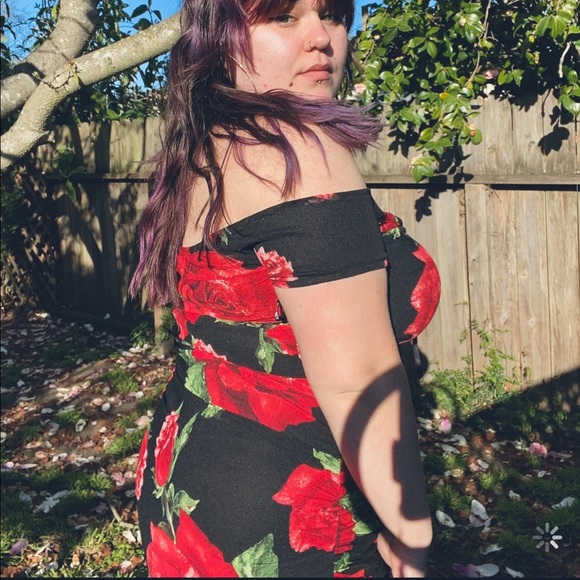 La Rosita Mini Dress - Picture 6 of 15